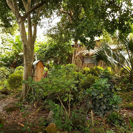 El Bamboo Cabins Balgue Eksteriør bilde