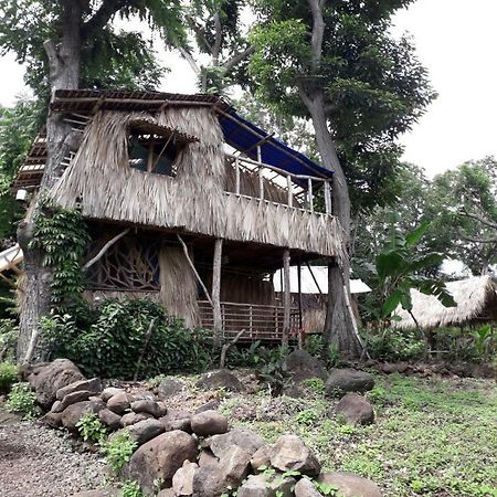 El Bamboo Cabins Balgue Eksteriør bilde