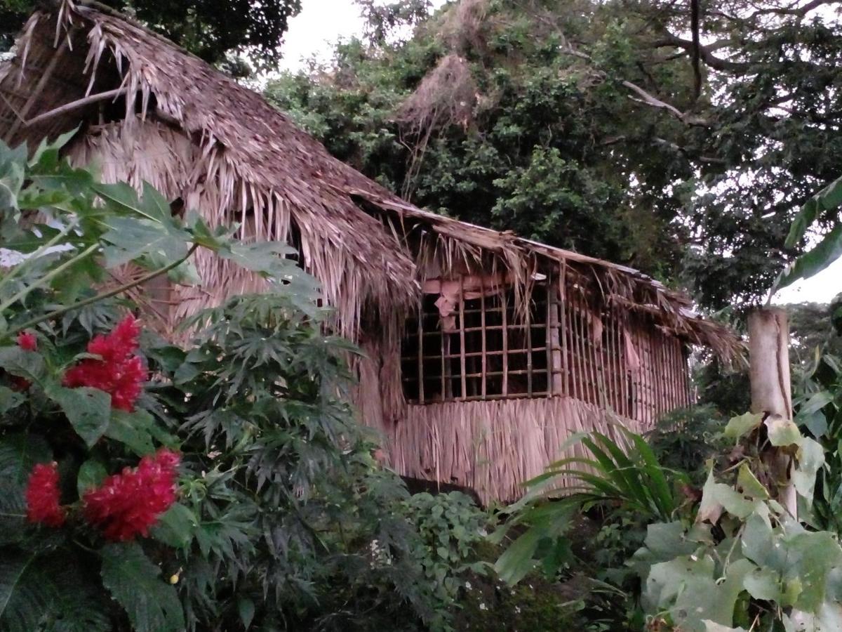 El Bamboo Cabins Balgue Eksteriør bilde