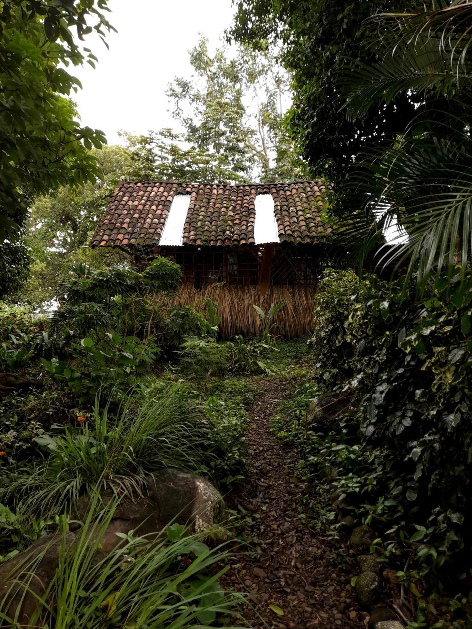 El Bamboo Cabins Balgue Eksteriør bilde