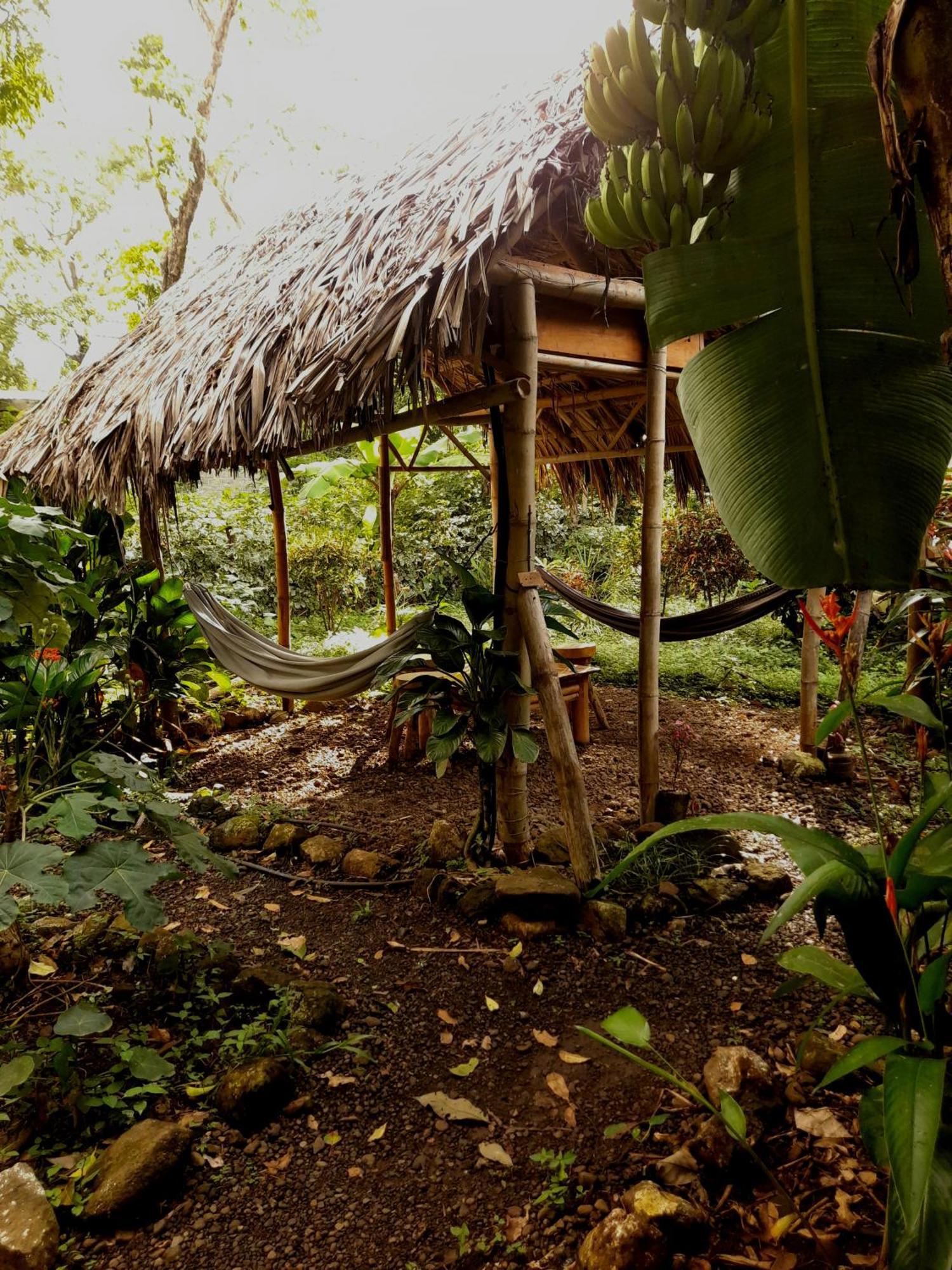 El Bamboo Cabins Balgue Eksteriør bilde