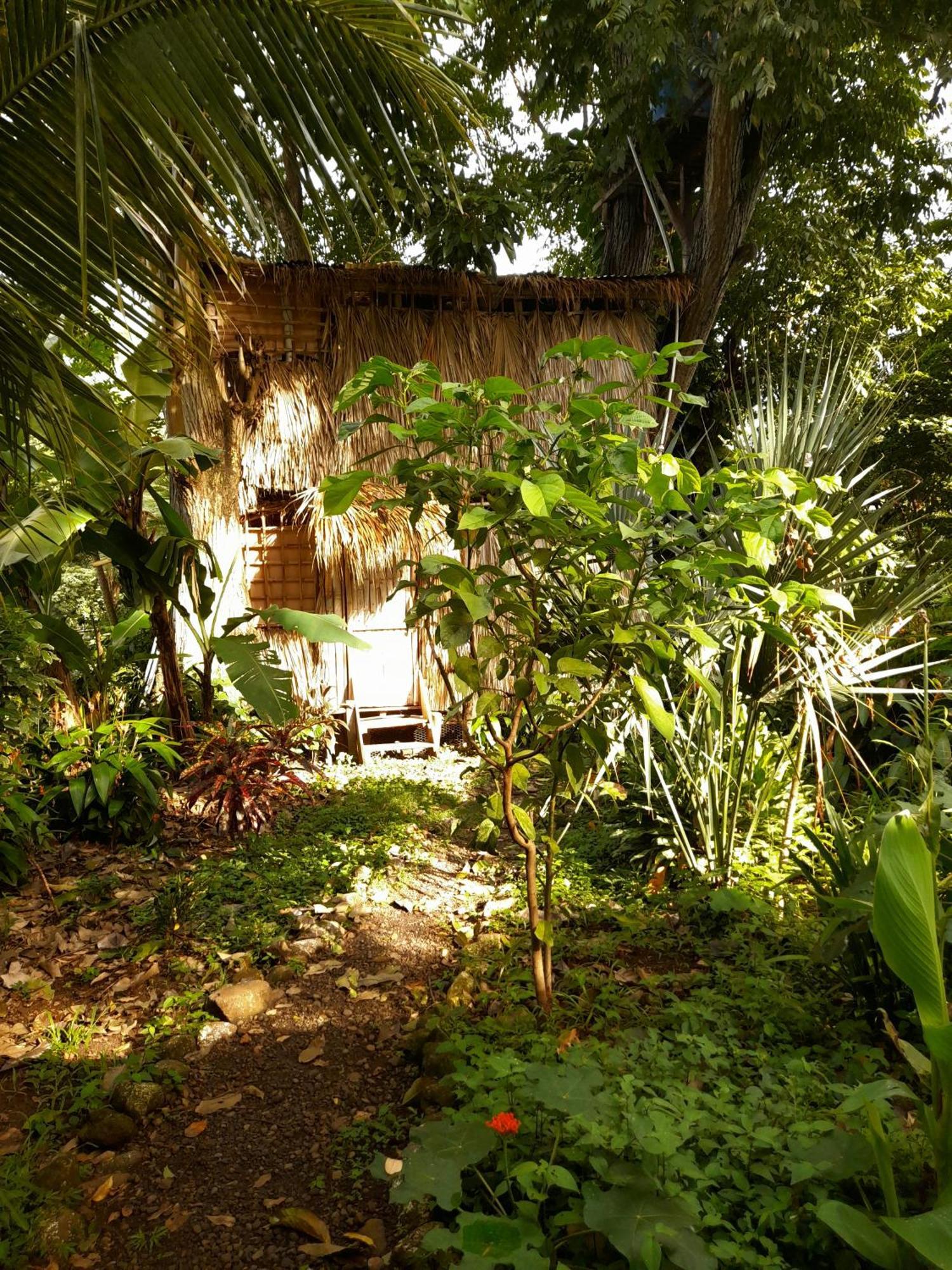 El Bamboo Cabins Balgue Eksteriør bilde